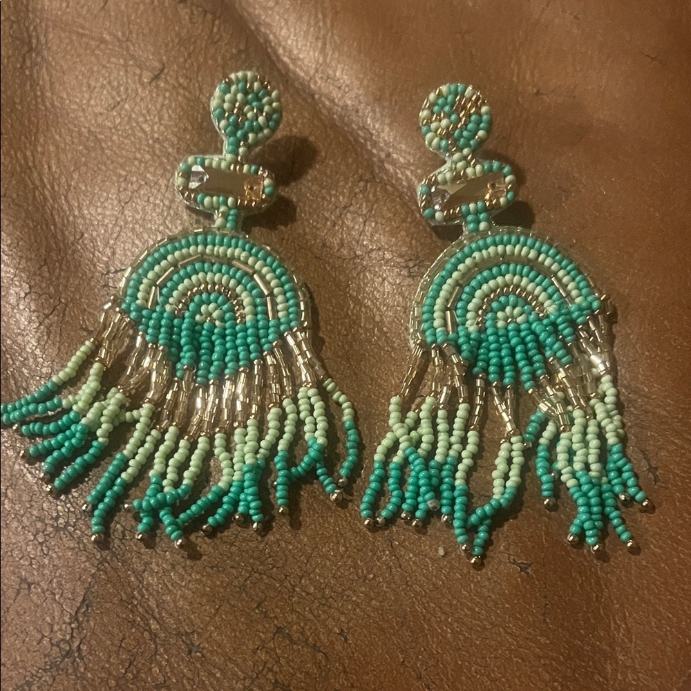 Beaded Fringe Earrings in Turquoise and Silver